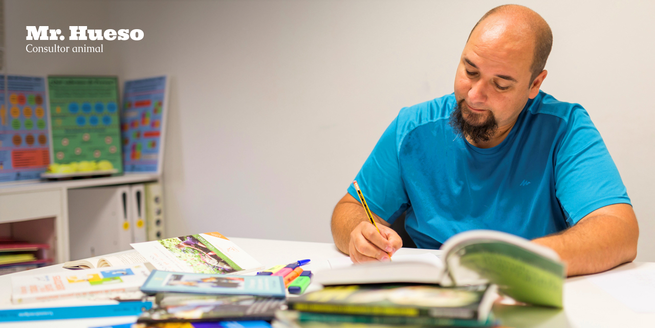 Mr. Hueso estudiando para futuros consejos