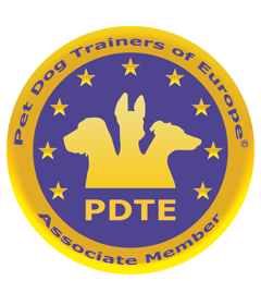 logo de la PDTE