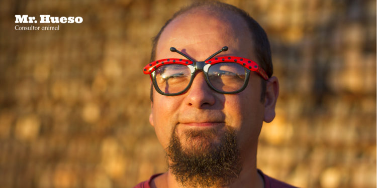Mr. Hueso con unas gafas divertidas