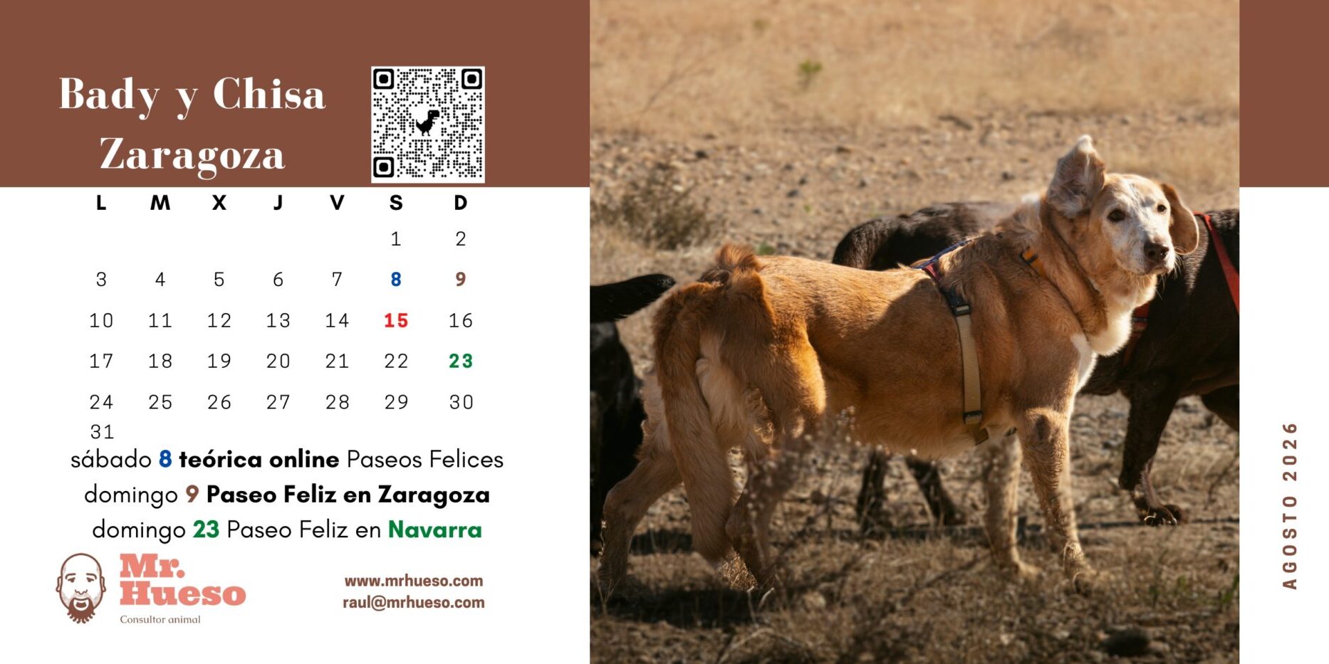 Bady disfrutando de un paseo, agosto en el Calendario Mr. Hueso 2026