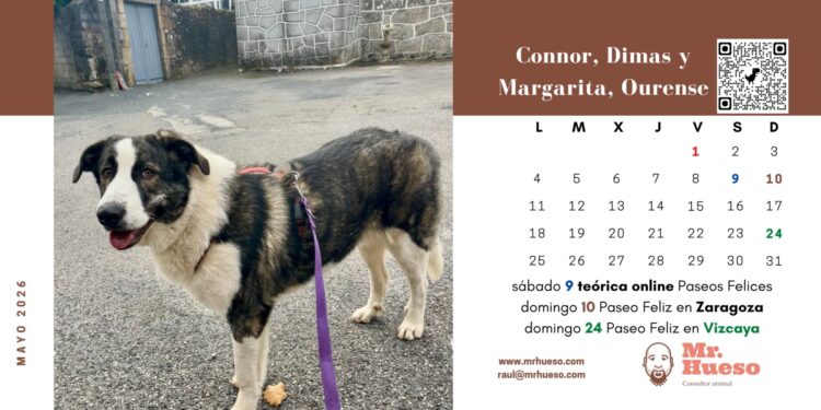Connor y familia, mayo en el Calendario Mr. Hueso 2026 página de mayo en el Calendario Mr. Hueso 2026 con Connor