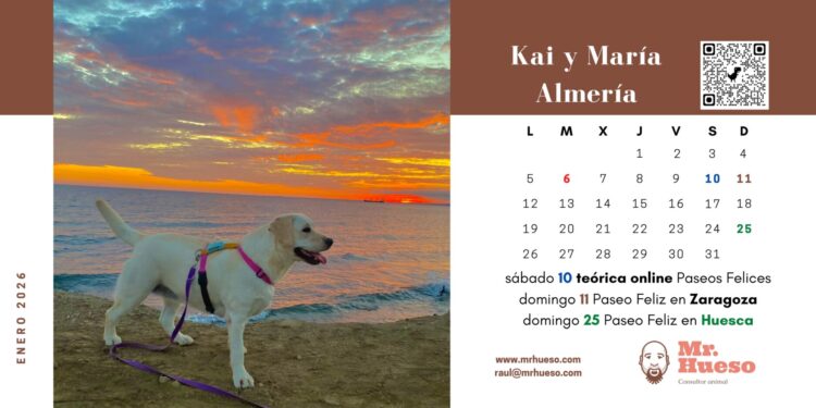Kai y María, enero Calendario Mr. Hueso 2026 Kai y María, enero Calendario Mr. Hueso 2026