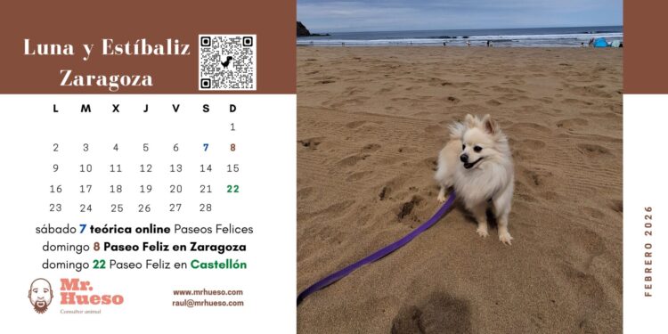 Luna y Estíbaliz, febrero Calendario Mr. Hueso 2026 Luna y Estíbaliz, protagonistas del mes de febrero con una foto en la playa del Calendario Mr. Hueso 2026