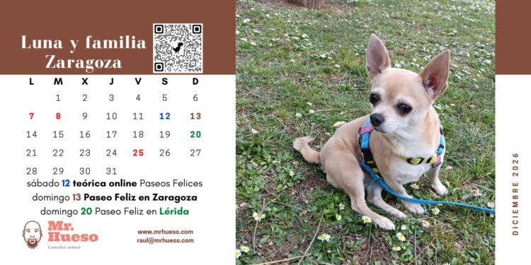 Luna en la página de diciembre del Calendario Mr. Hueso 2026