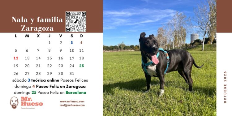 Bonita foto de Nala con la boca abierta, página de octubre en el Calendario Mr. Hueso 2026