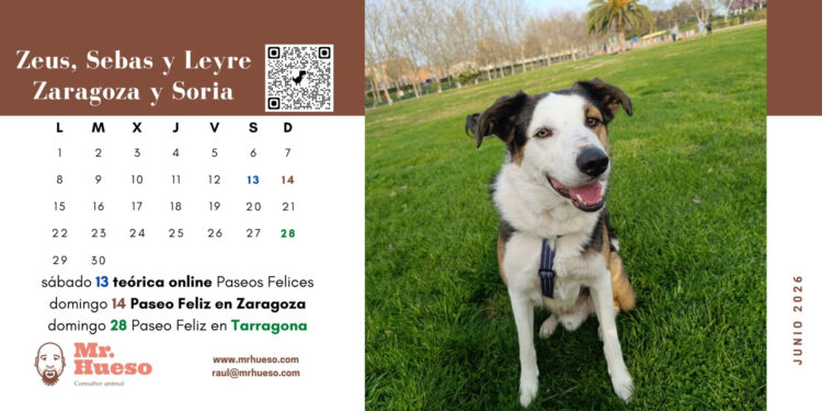 Zeus y familia junio Calendario Mr. Hueso 2026
