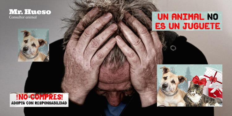 hombre desesperado con las manos en la cabeza y errores de la campaña navideña de Zaragoza