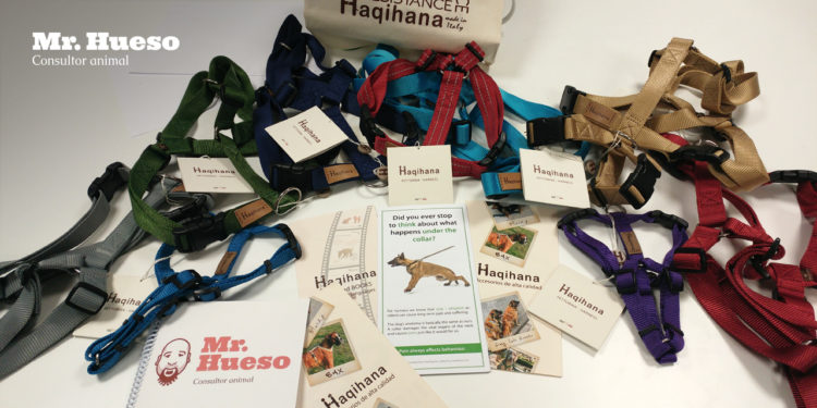 Variedad de tallas y colores