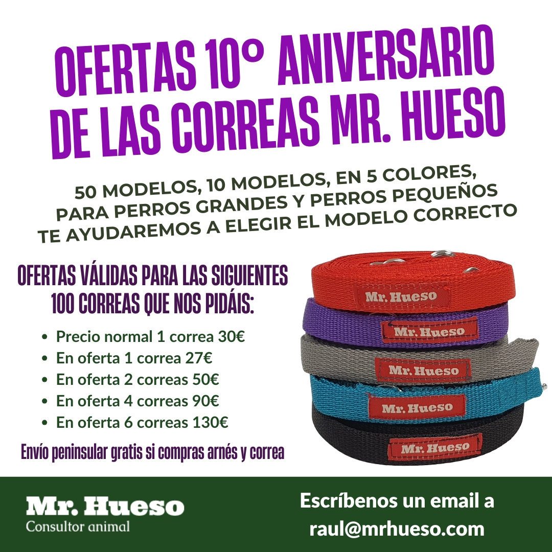 Ofertas especiales por el 10º aniversario de las Correas Mr. Hueso válidas para las siguientes 100 correas que nos pidáis