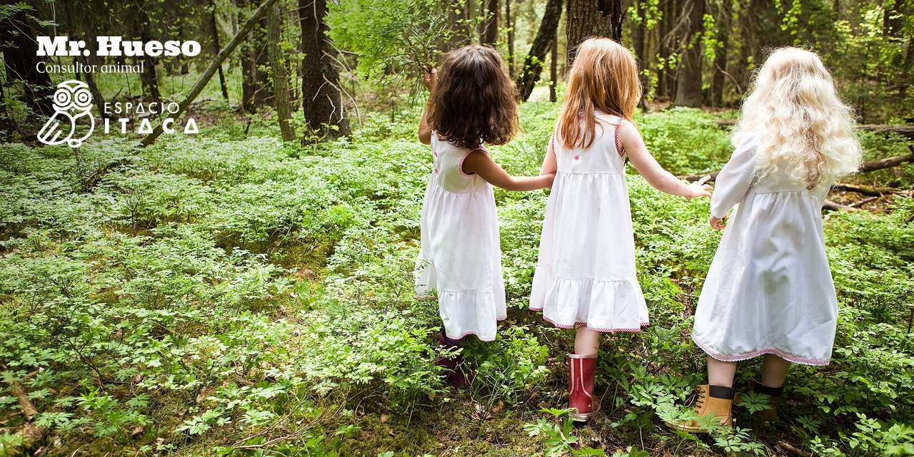 Es necesario recuperar el vínculo con la naturaleza tres niñas por el bosque