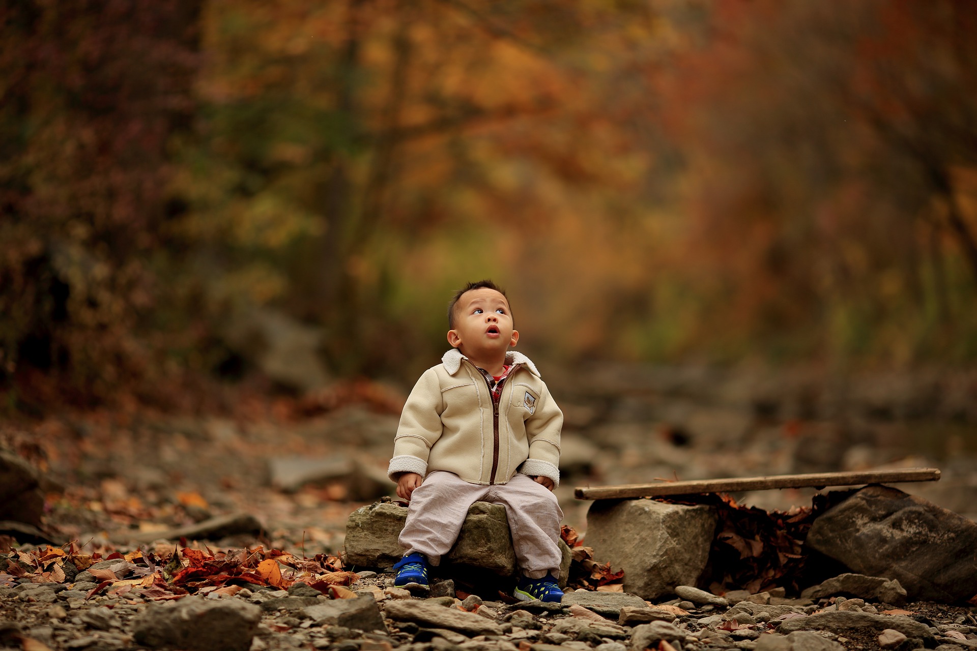 un niño en el bosque mirando hacia los árboles