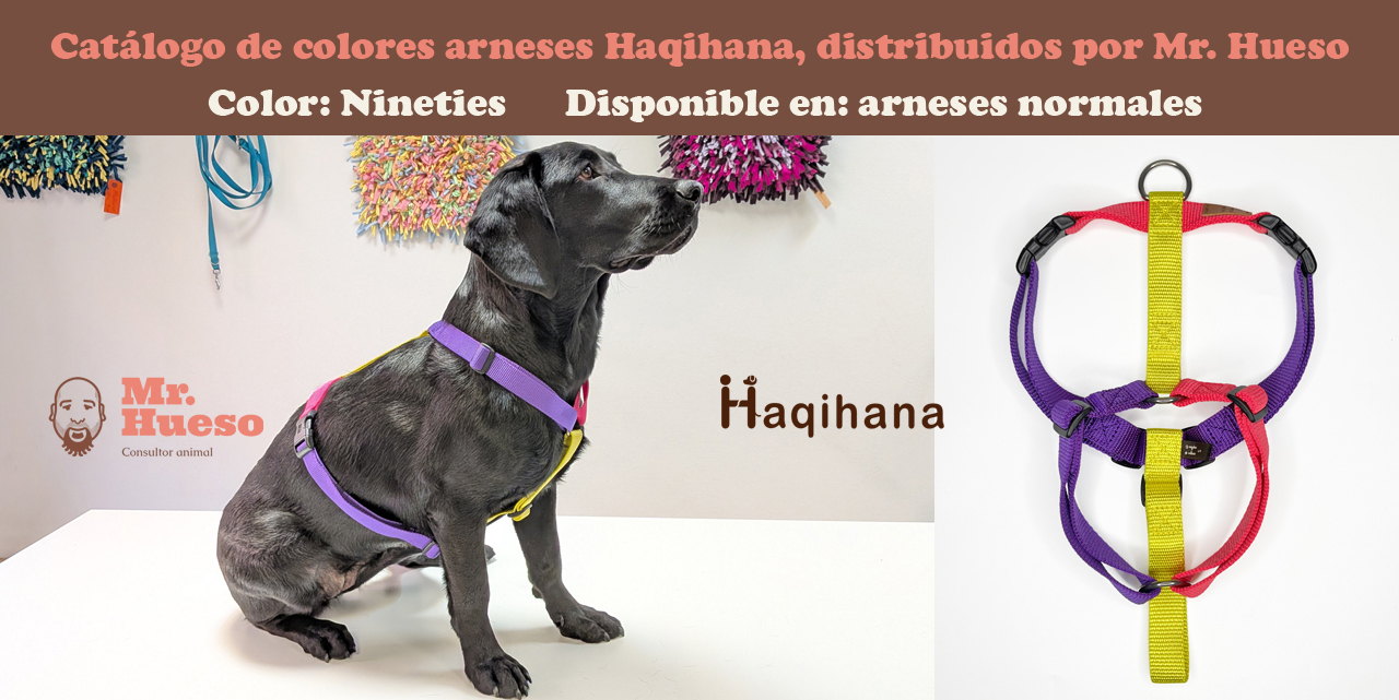 Edición especial Nineties combinando colores que rememoran los años 90, violeta, amarillo y rosa neón
