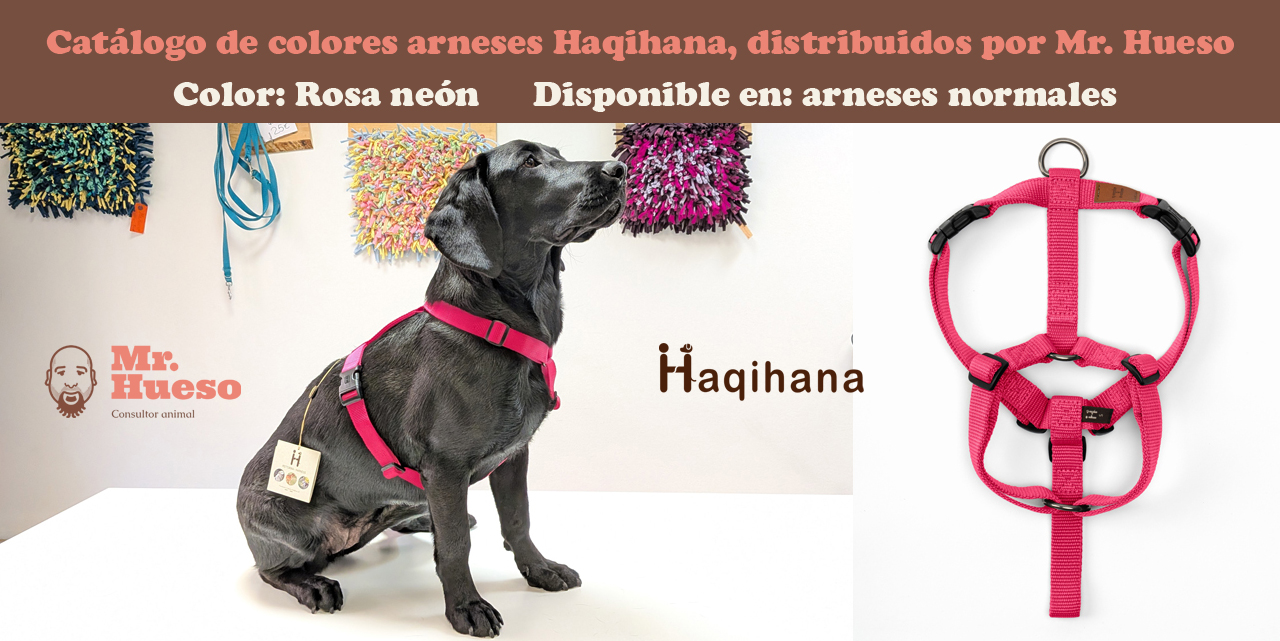 Arneses Haqihana rosa neón disponible en arneses normales