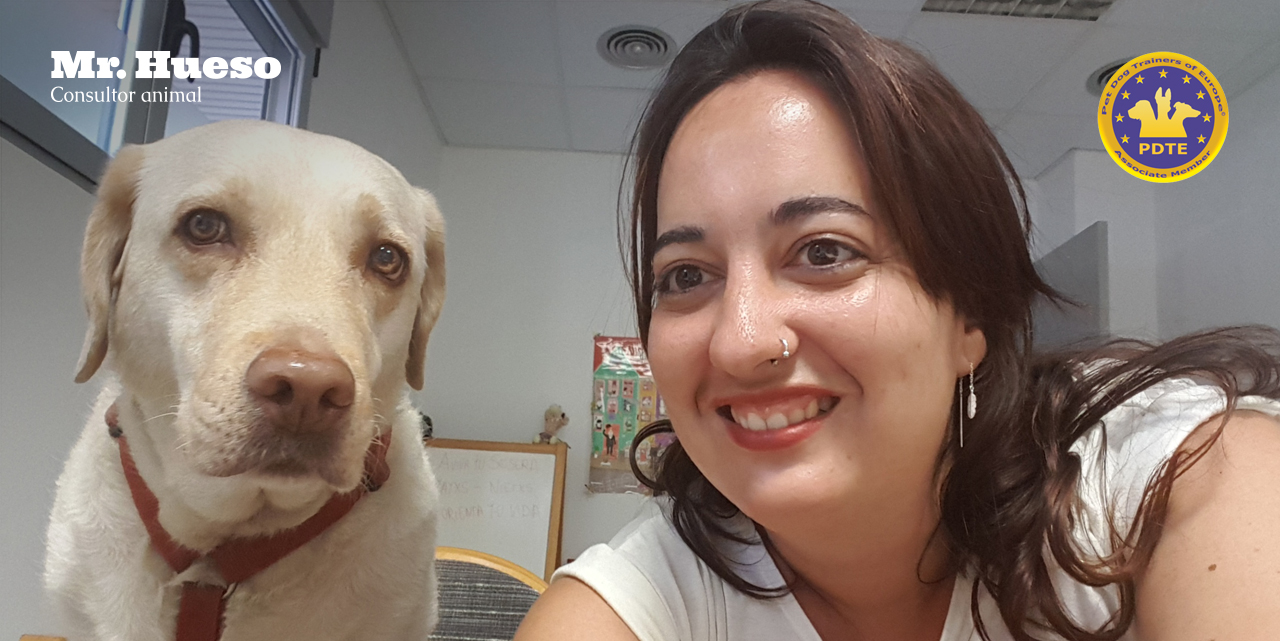 Sandra Sánchez y Rumba, pilares imprescindibles en Mr. Hueso