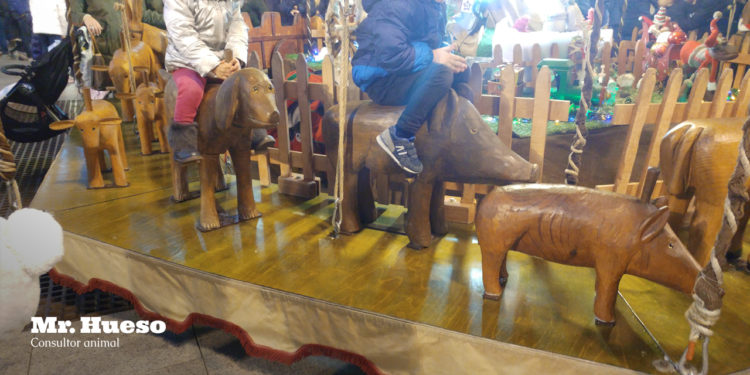 Educación infantil en convivencia con animales, eco atracciones