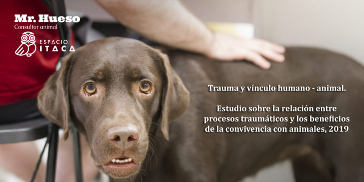 Trauma y vinculo humano animal, estudio Espacio Itaca y Mr Hueso