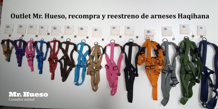 Imagen con arneses de todas las tallas y colores de arneses Haqihana