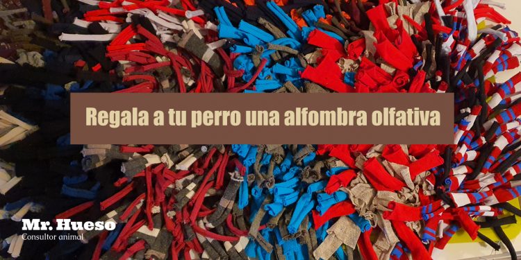 Aparece una alfombra olfativa de Mr. Hueso y el título del artículo