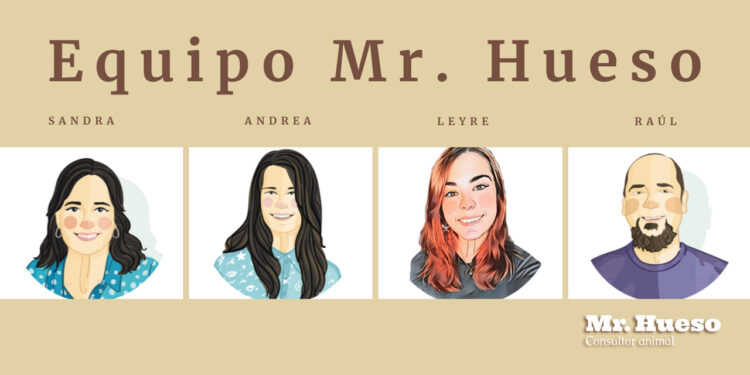 Imágenes dibujadas de Sandra, Andrea, Leyre y Raúl, equipo Mr. Hueso