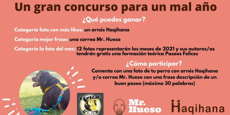 portada del concurso, aparece un perro con arnés Haqihana y una correa Mr. Hueso