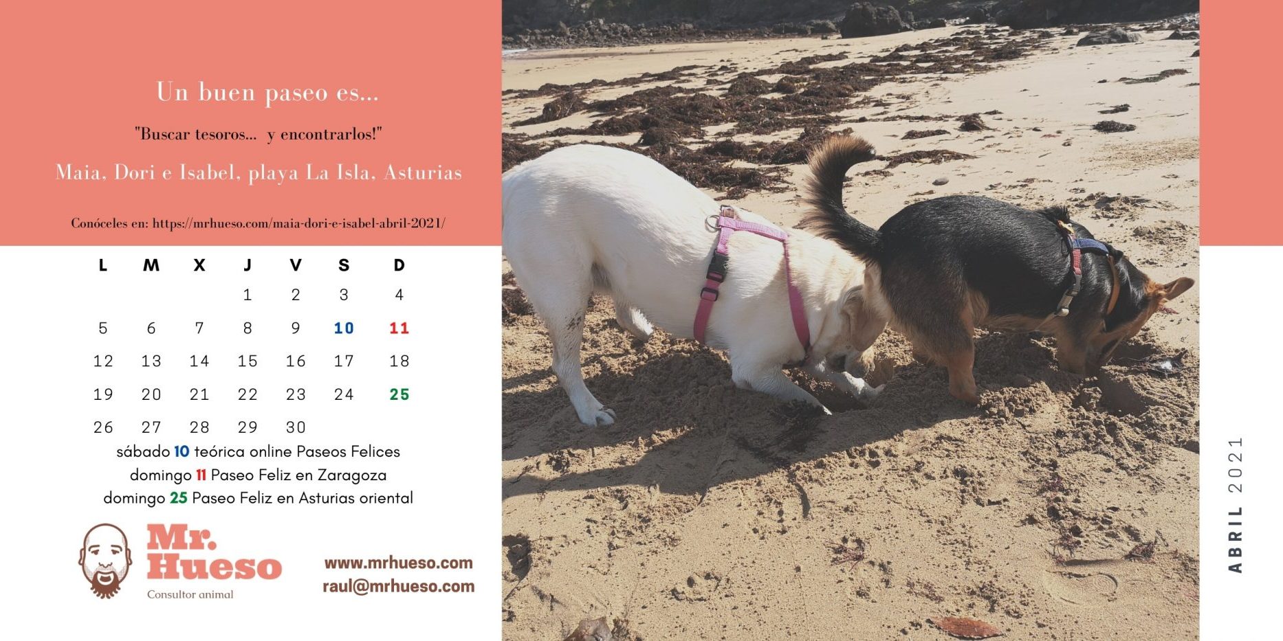 Dori y Maia escarbando en la plaza, mes de abril