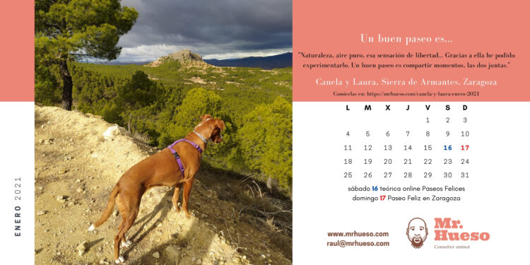 foto de canela con el calendario de enero de 2021