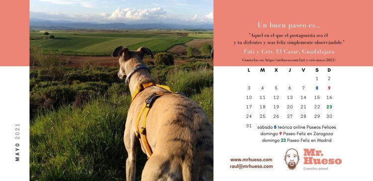Mayo Calendario Mr. Hueso 2021 Fati, Lucas y Cris, mayo 2021