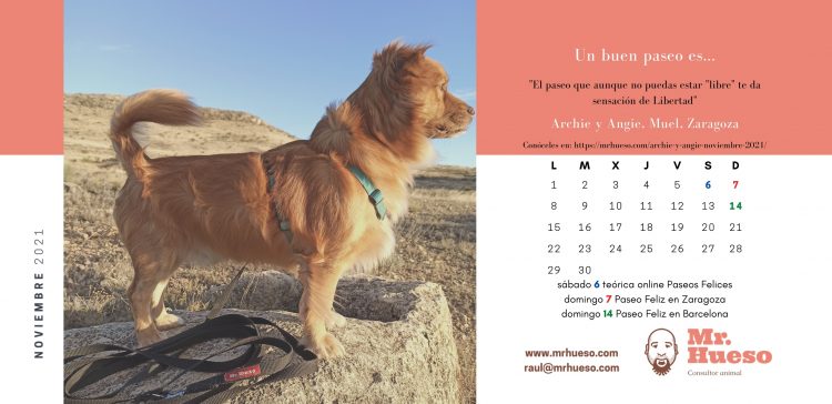 Archie, noviembre 2021