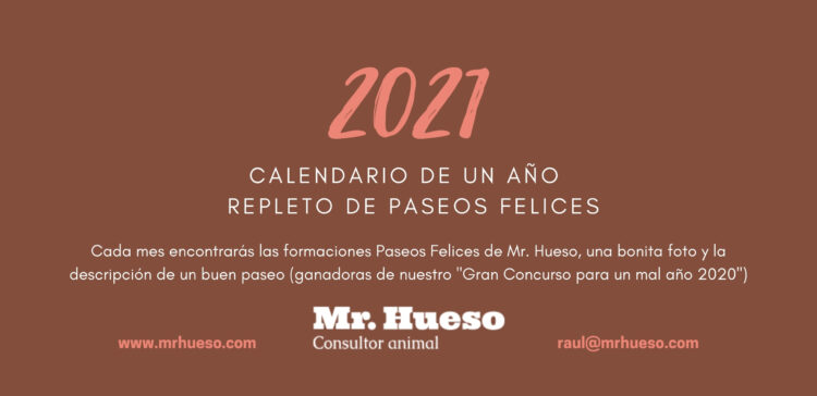 Portada Calendario Mr. Hueso 2021, dice 2021 calendario de un año repleto de paseos felices
