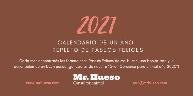 Portada Calendario Mr. Hueso 2021, dice 2021 calendario de un año repleto de paseos felices