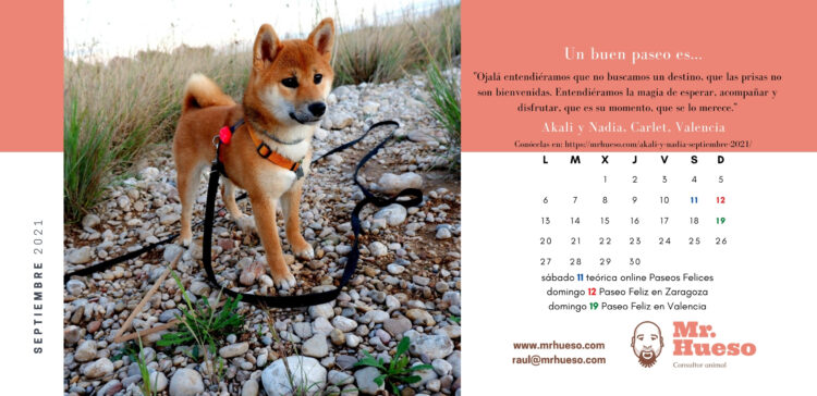 Akali, septiembre 2021