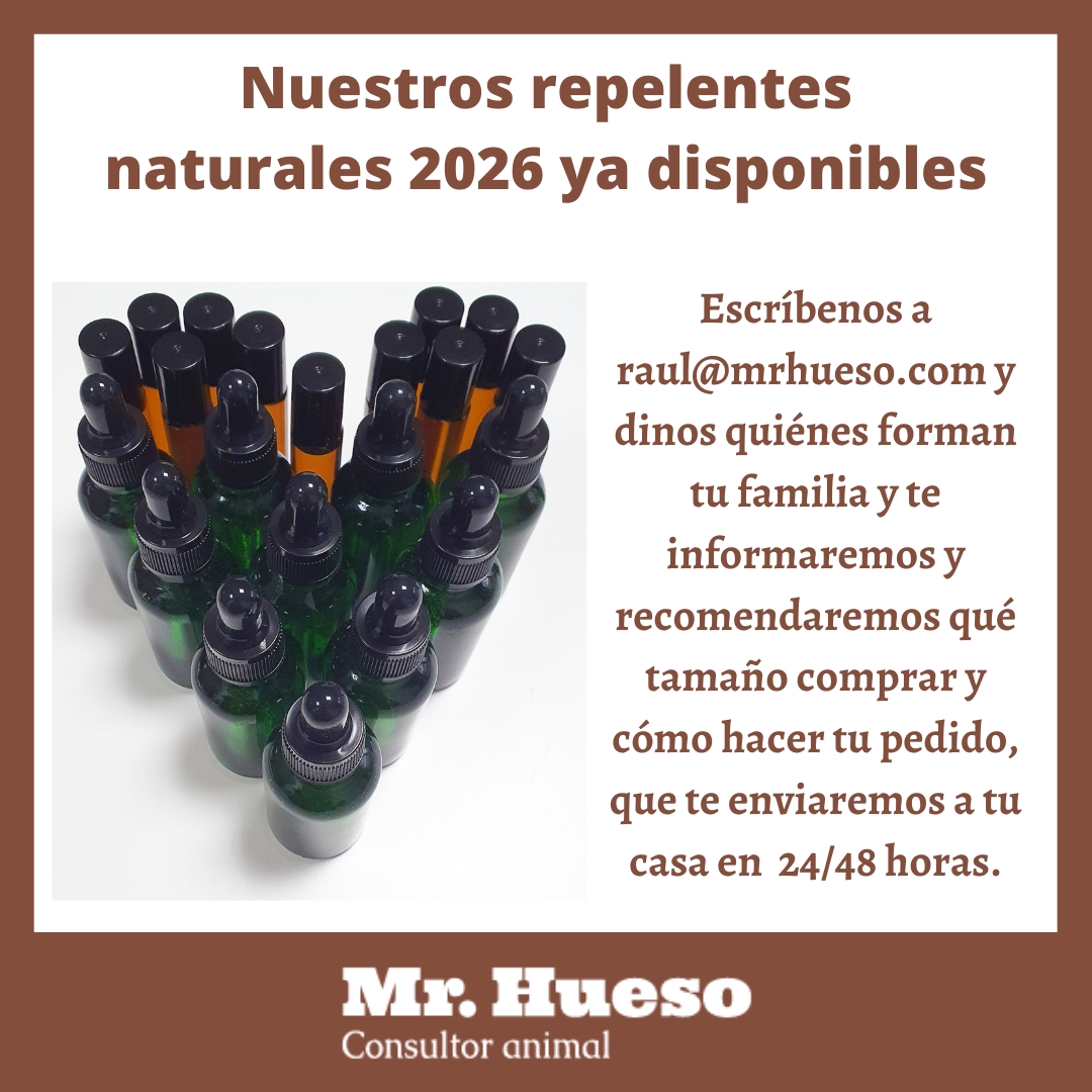 Nuestros repelentes naturales 2026 ya están disponibles
