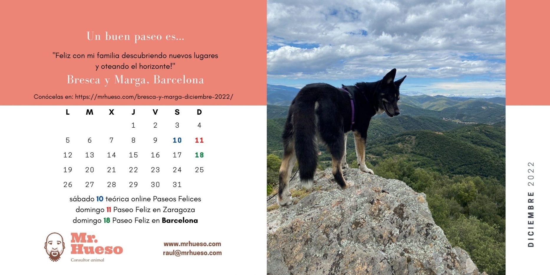 Bresca en lo alto de una montaña sobre una roca, junto al calendario de diciembre