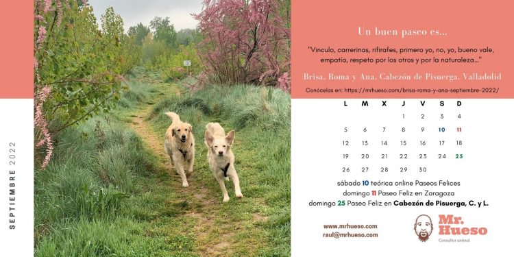 Brisa y Roma corriendo entre árboles en flor, junto al calendario de septiembre