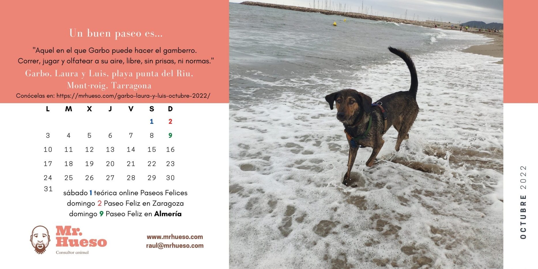 Garbo, Laura y Luis, octubre Calendario Mr. Hueso 2022 Garbo en la orilla de la playa, junto al calendario de octubre