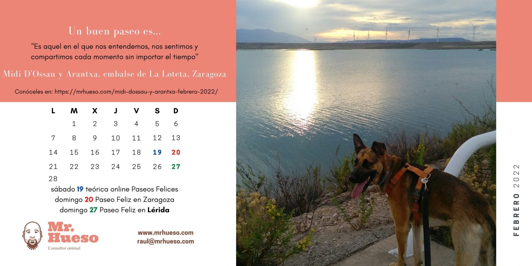 Midi en un atardecer junto a un pantano, junto al calendario de febrero