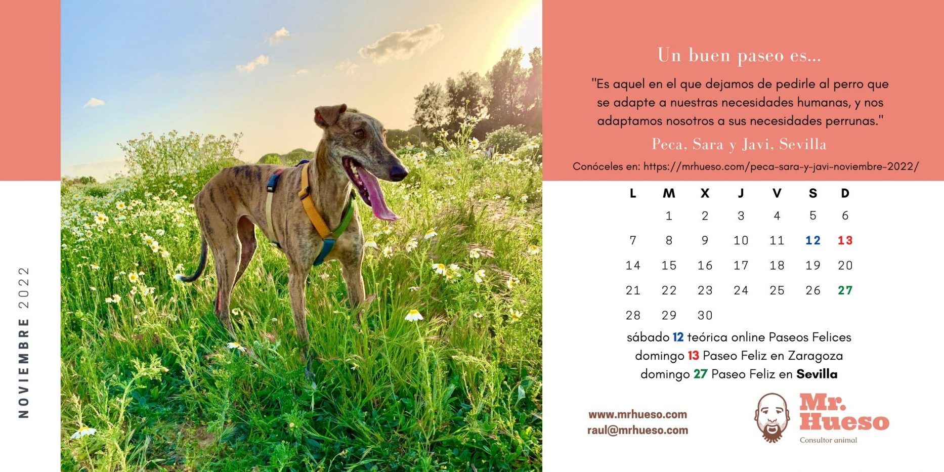 Peca, una galga preciosa, paseando entre hierbas altas y verdes, junto al calendario de noviembre