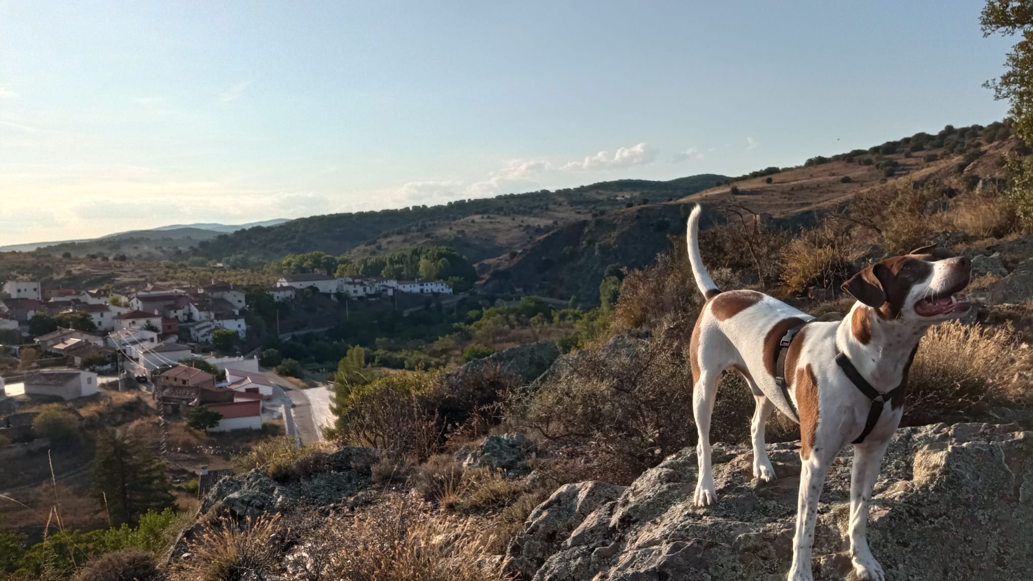 Sharky con su pueblo al fondo, Cerveruela