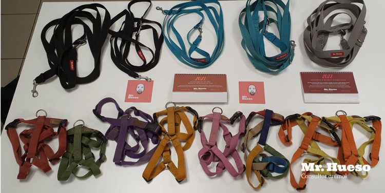 Aparecen muchos arneses y correas en una mesa, los materiales de paseo que Mr. Hueso usamos a diario