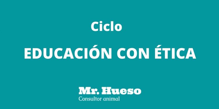 Ciclo EDUCACIÓN CON ÉTICA y el logo de Mr. Hueso