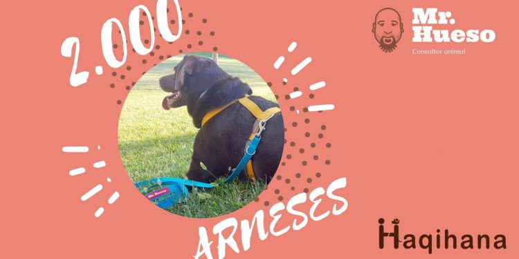 2000 arneses Haqihana distribuidos en España por Mr. Hueso