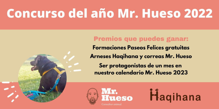 Concurso del año Mr. Hueso, edición 2022, gana muchos premios