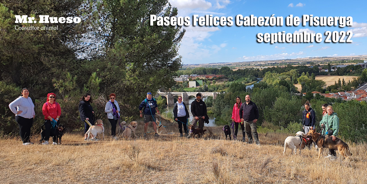 Foto de grupo del Paseos Felices en Cabezón de Pisuerga, con el río Pisuerga al fondo y el municipio