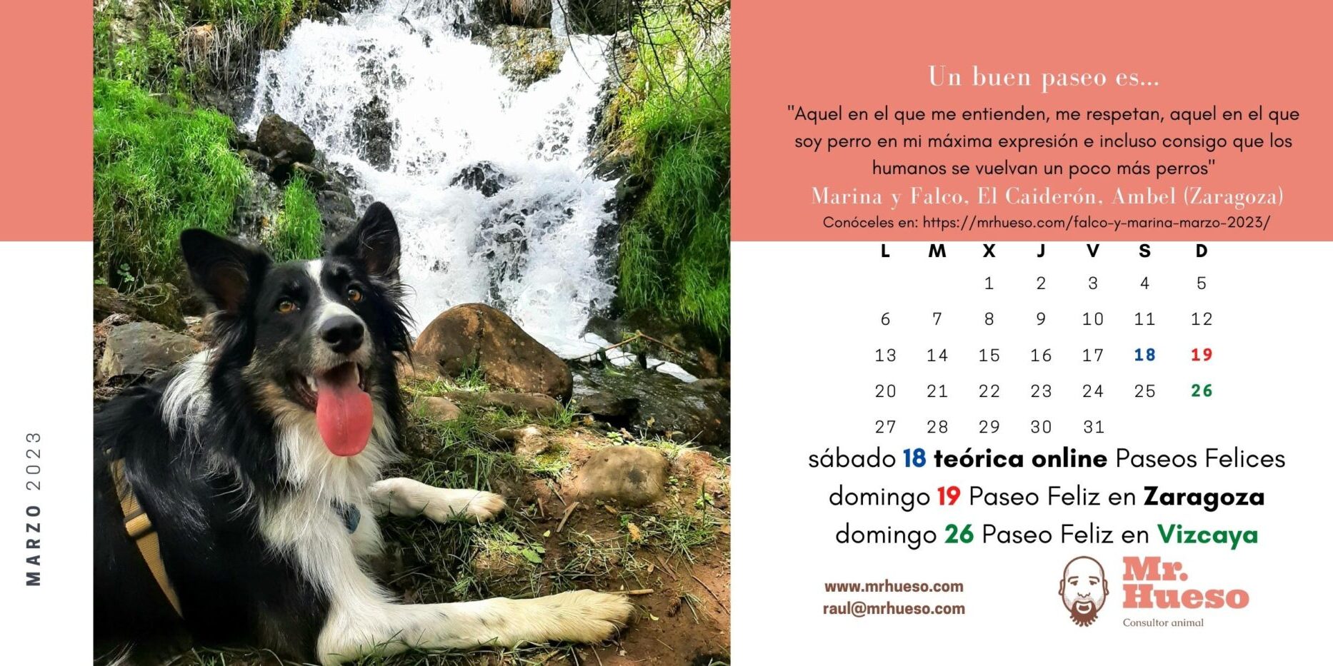 Falco es un border collie que sale junto a una cascada, protagonista del mes de marzo 2023