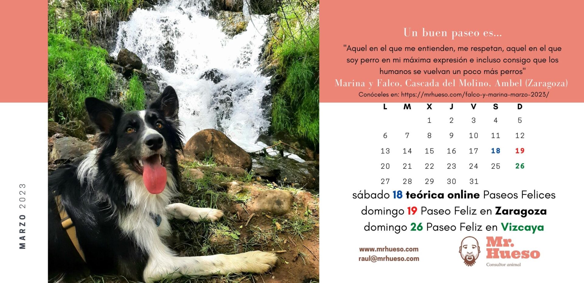 Falco es un border collie que sale junto a una cascada, protagonista del mes de marzo 2023