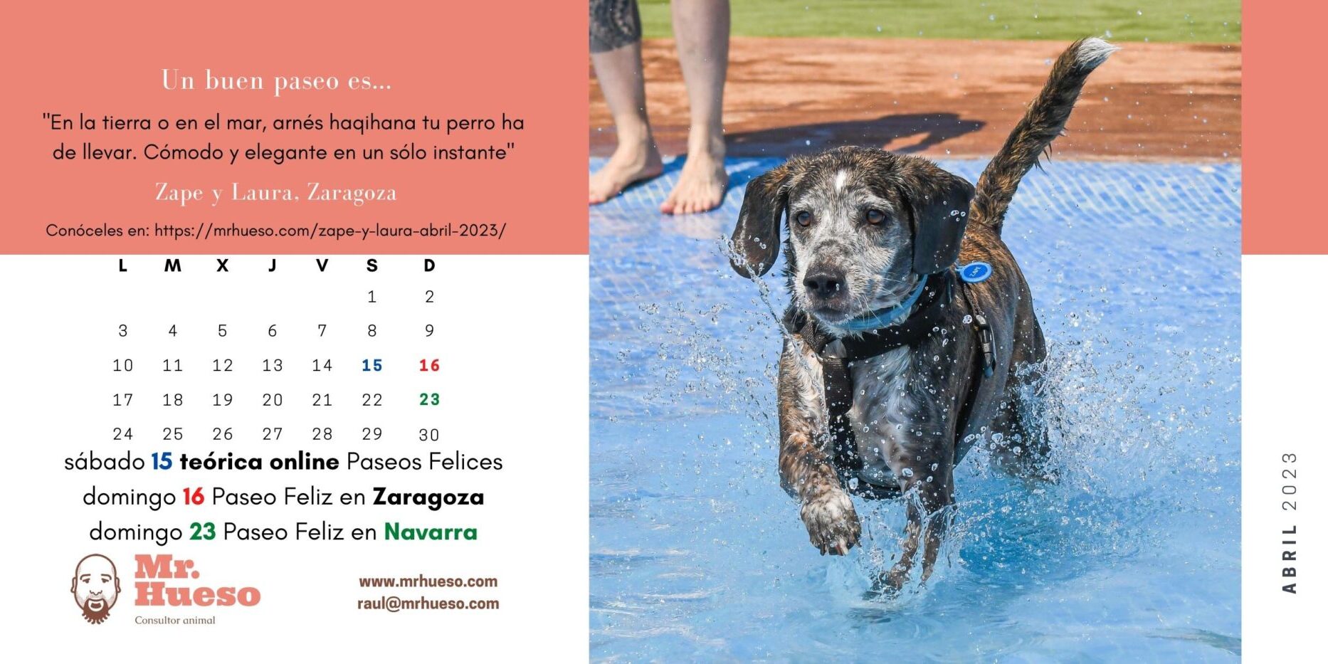 Zape chapoteando en una piscina, protagonista del mes de abril de 2023