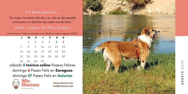 Daddy en la orilla del Río Ebro, junto al calendario de agosto 2023