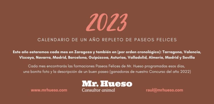 Portada del Calendario Mr. Hueso 2023