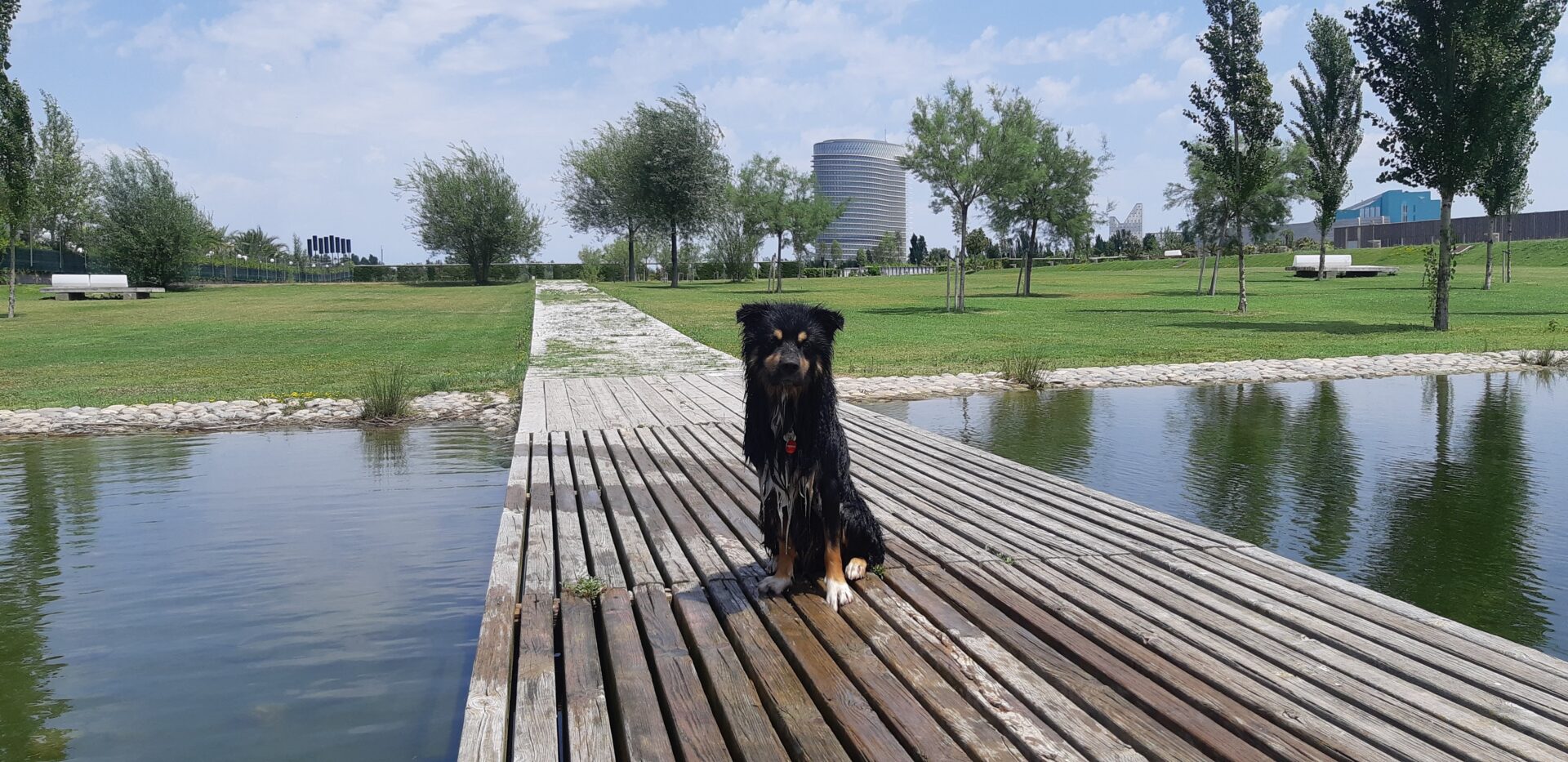 Yuki en un parque de Zaragoza