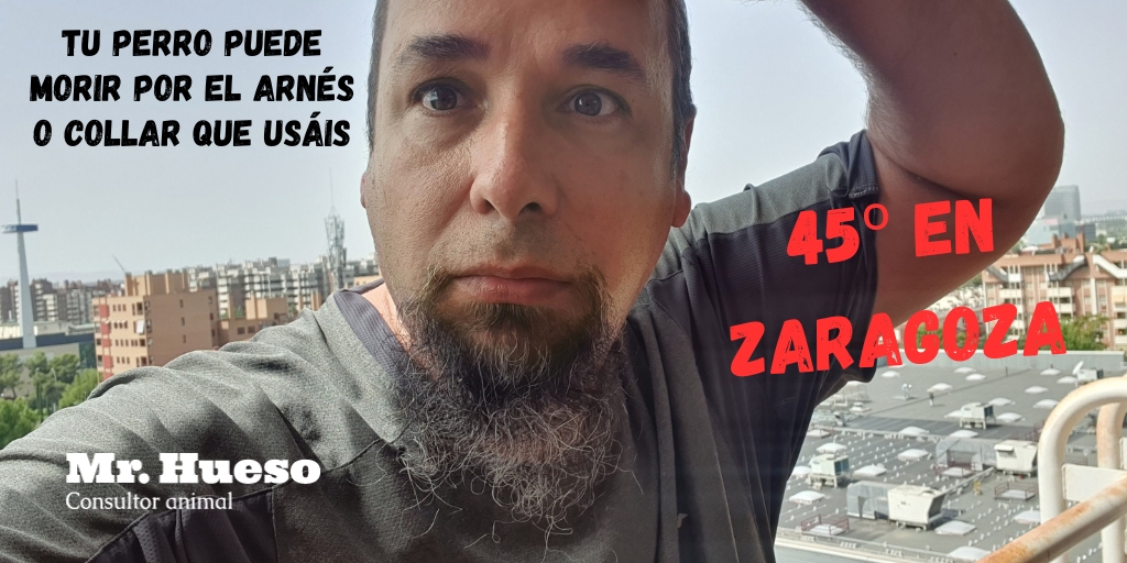 Mr. Hueso con cara de asustado por temperaturas de 45º en Zaragoza